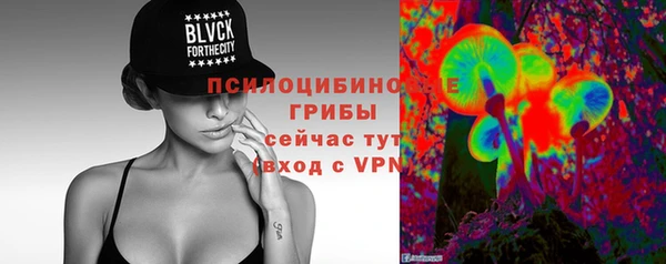 МДПВ Алексеевка