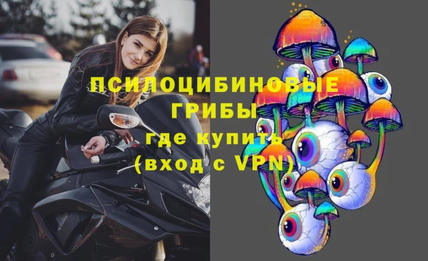 герыч Алзамай