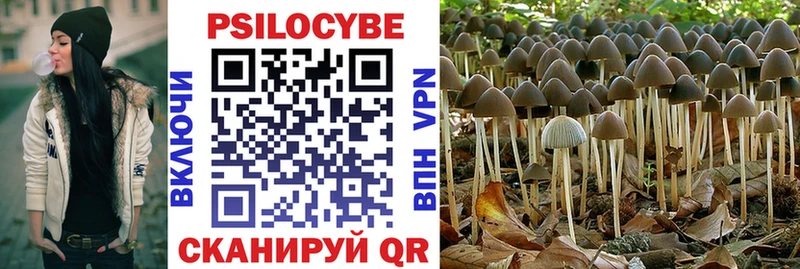 Галлюциногенные грибы Cubensis  наркотики  Игра 